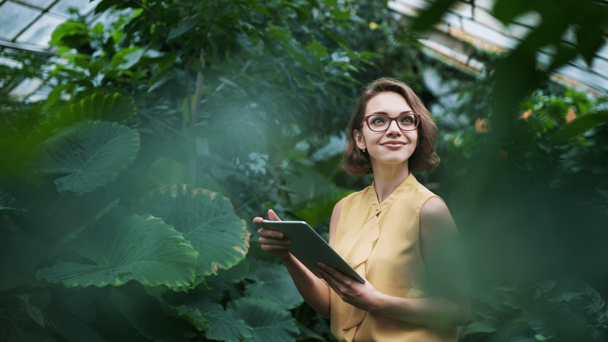 A woman studying the environment.