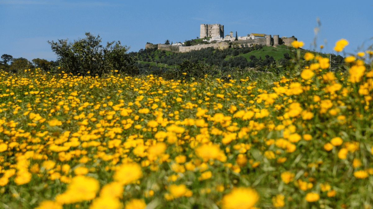 A landscape in Portugal.
