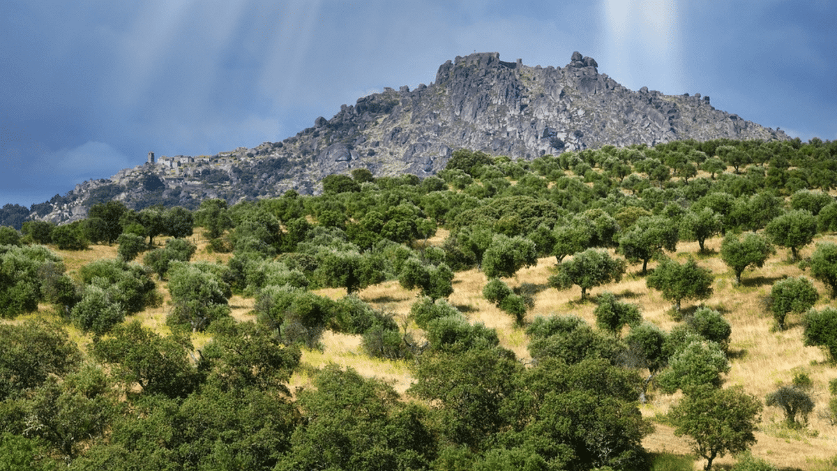 A landscape in portugal.