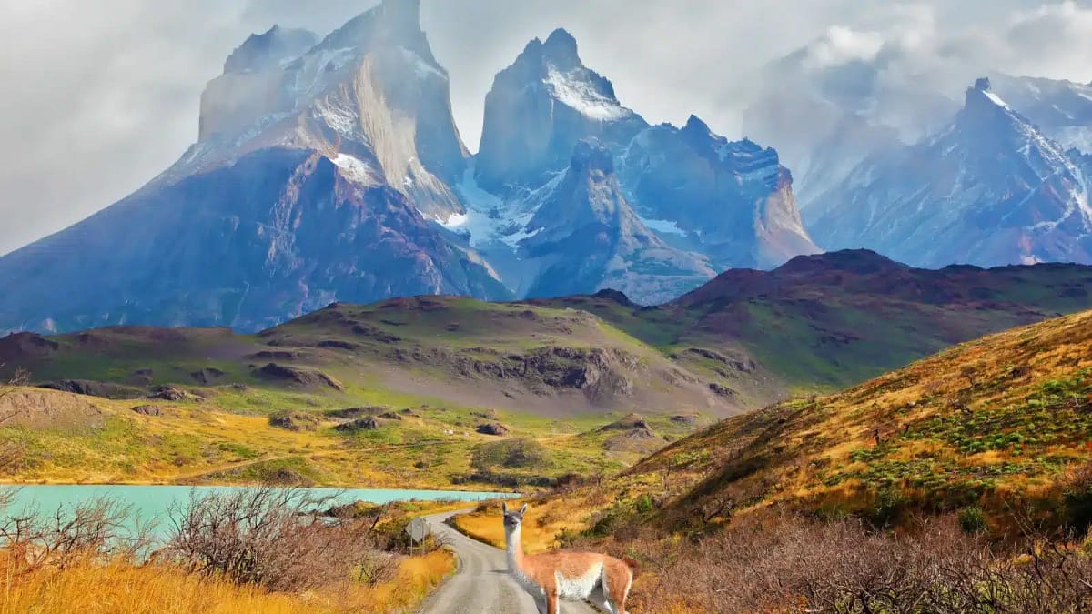 Chile healthcare report