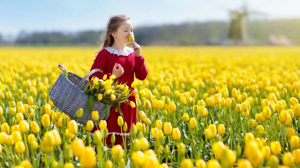 safest countries in the world - banner