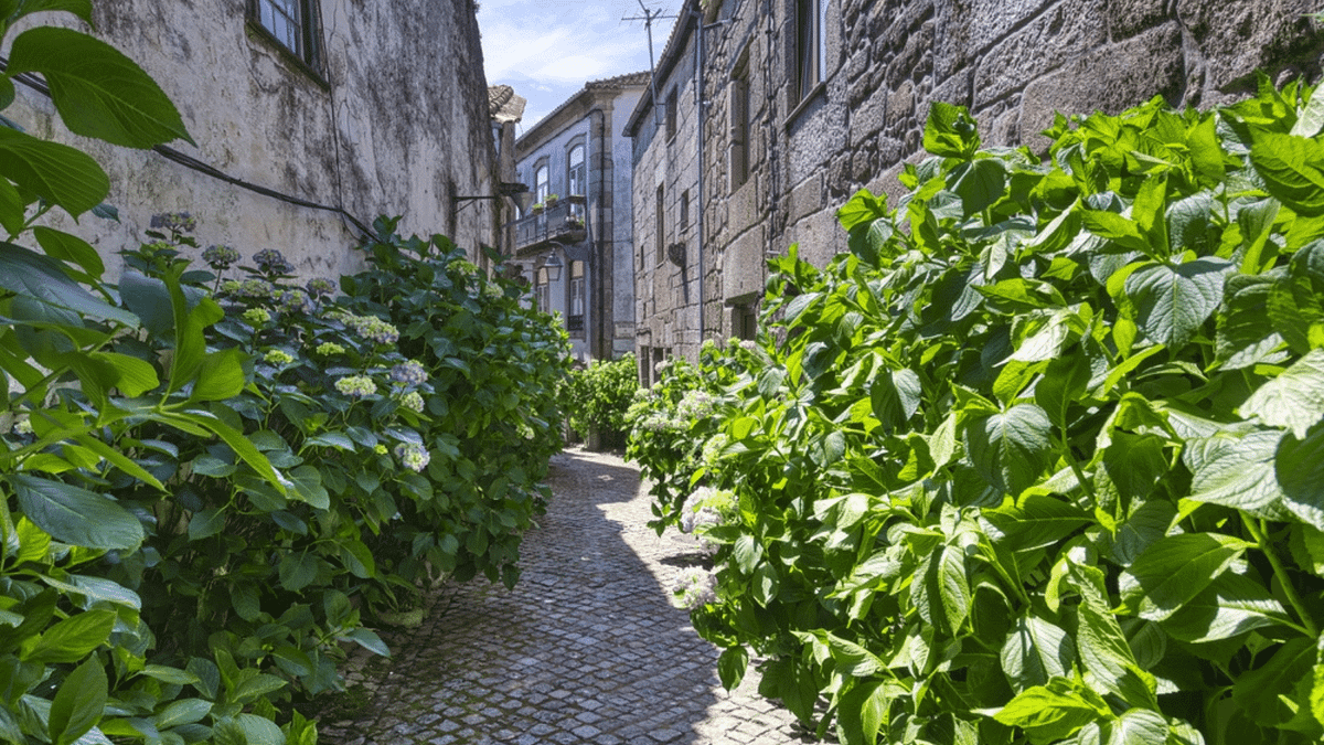 A landscape in Portugal.