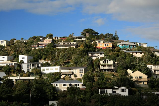 Wrights Hill Wellington New Zealand