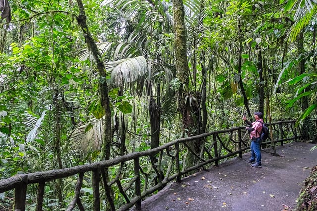 La Fortuna 1